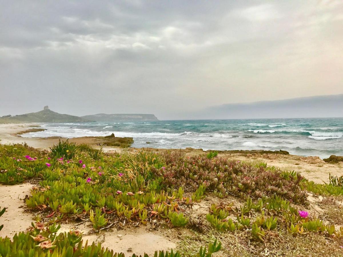 West Sardinia Apartment 2 Càbras Dış mekan fotoğraf